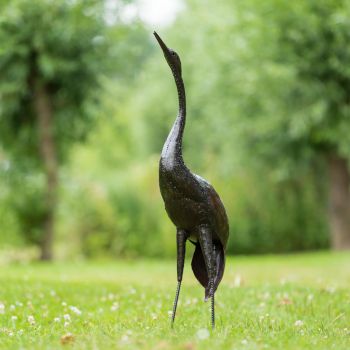 Paradijskraanvogel