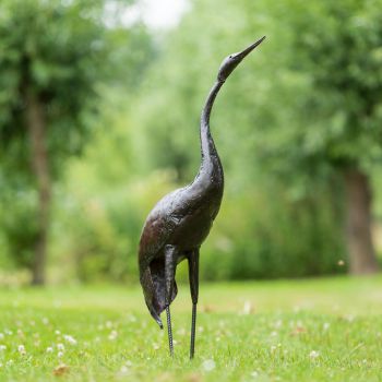 Paradijskraanvogel