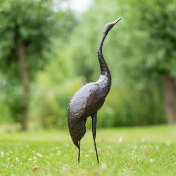 Paradijskraanvogel