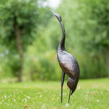 Paradijskraanvogel