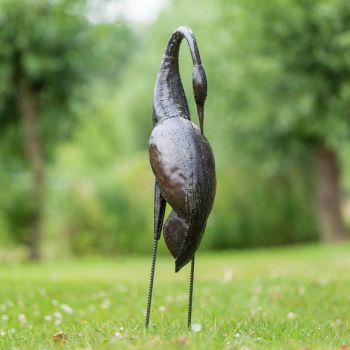 Paradijskraanvogel