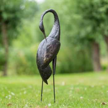Paradijskraanvogel