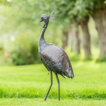 Kraanvogel