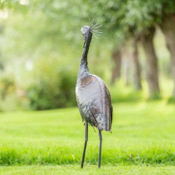 Kraanvogel