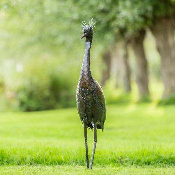 Kraanvogel