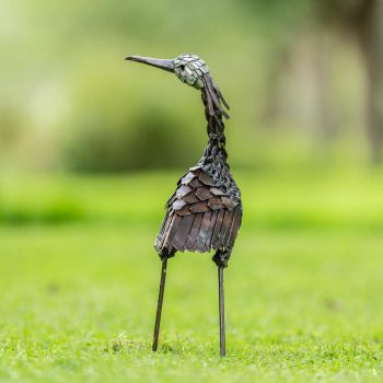 Jufferkraanvogel