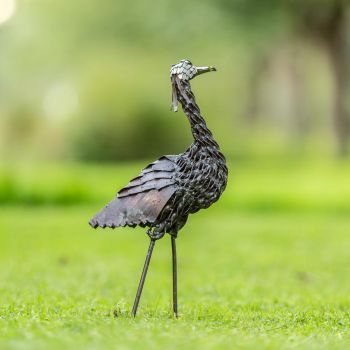 Jufferkraanvogel