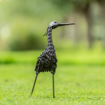 Jufferkraanvogel