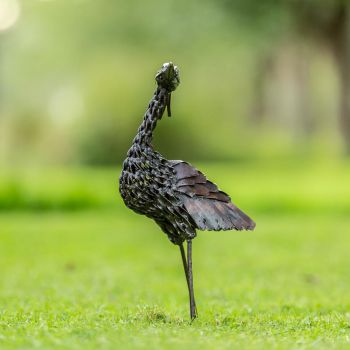 Jufferkraanvogel