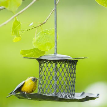 Metalen tuinbeeld van een voederhuis, gemaakt door een Afrikaanse kunstenaar. 