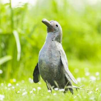 Pinguin