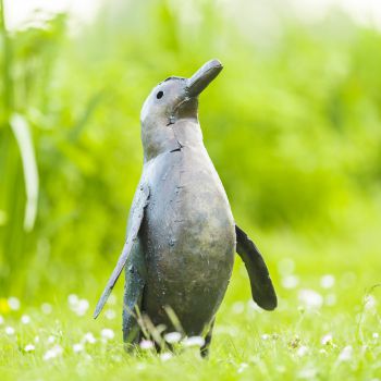 Pinguin