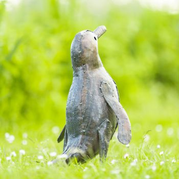 Pinguin