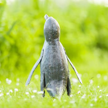 Pinguin
