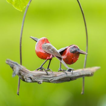 Vogelhanger