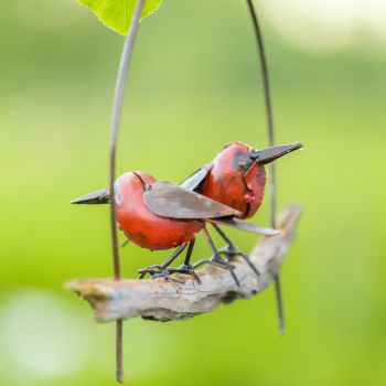 Vogelhanger