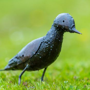 Metalen tuinbeeld van een specht, gemaakt door een Afrikaanse kunstenaar. 